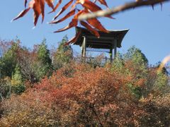 -周口店坡峰岭风景区