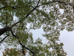 -北京上方山国家森林公园