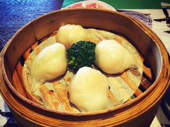 虾饺-香港表哥茶餐厅(银泰百货店)