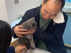 -天使宠物医院·犬猫分诊(彩虹店)