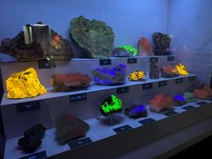 -湖南省地质博物馆