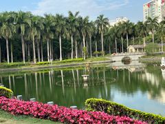 -南宁南湖公园