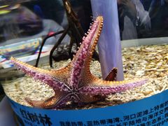 -北京海洋馆