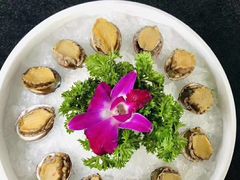 -马帮寨院坝火锅(龙港公园店)