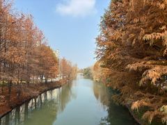 -昆山城市生态森林公园