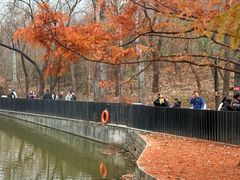 -白水寺森林公园