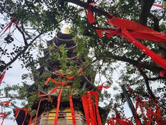 -灵岩山风景区