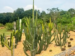 -东莞植物园