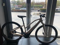 -SPECIALIZED闪电自行车(北苑路店)