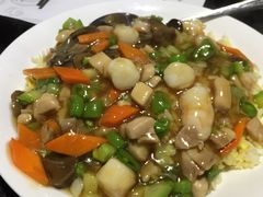 -糖朝(尖沙咀店)