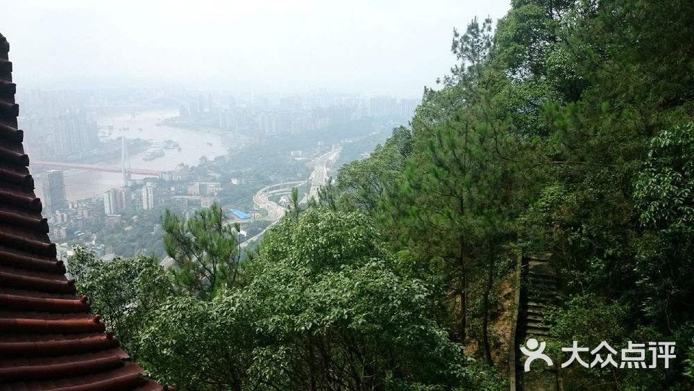 重庆南山风景区图片 第10张