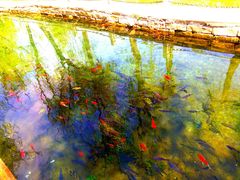 -水磨沟公园