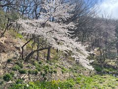 -沂蒙山旅游区龟蒙景区