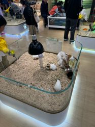 -小象动悟公园(龙湖亦庄天街店)