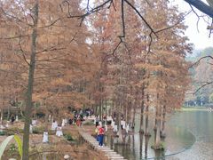 -重庆彩云湖湿地公园