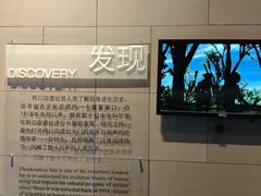 -北京周口店北京人遗址博物馆