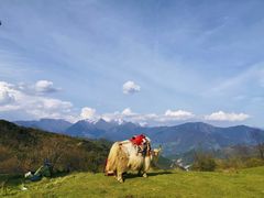 -硗碛藏寨·神木垒景区