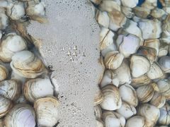 -顶之鲜海鲜餐厅