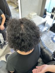 -THE LOG SALON 记录