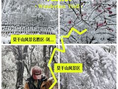 -莫干山风景区