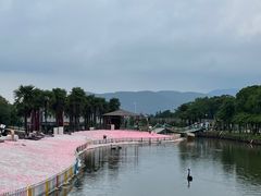 -苏州太湖西山岛开心农场