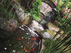 竹吟山房-竹吟山房