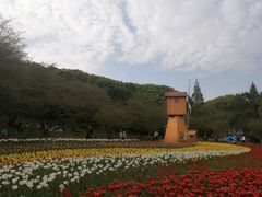 -苏州上方山国家森林公园