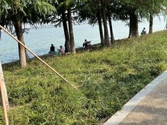 -阳澄湖半岛旅游度假区