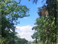 -普洱太阳河森林公园