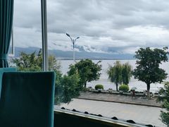 -野菌皇海景野生菌火锅(滨海大道店)