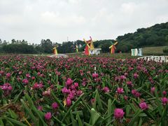 -松山湖梦幻百花洲
