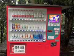-潜山国家森林公园