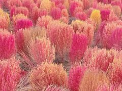 -汉长安城未央宫国家考古遗址公园