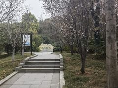 -云龙山