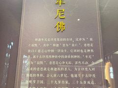 -北京艺术博物馆(万寿寺)