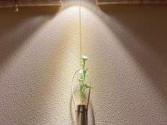 -翔峰炭火鳗鱼(悦泰街里公寓店)
