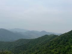 -北仑森林植物园