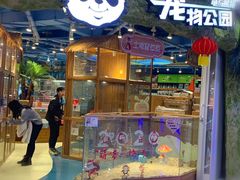 -龟与熊猫宠物公园(南坪店)