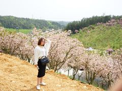 -绵阳盛世樱花悠乐谷