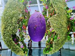 -深圳国际园林花卉博览园