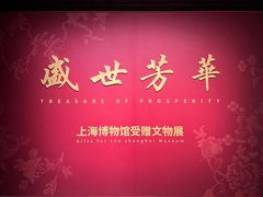 -上海博物馆(人民广场馆)
