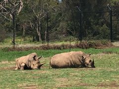 -威勒比开放式动物园