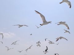 -长岛南北长山旅游景区