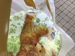-珍妮曲奇聪明小熊(尖沙咀店)