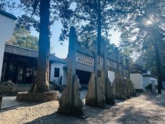 -白鹿洞书院