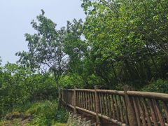 -汤山公园