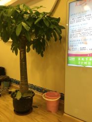 点击看大图 -康乃馨·馨悦佳人(鹭江店)