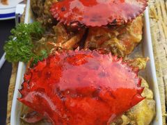 -茉莉.Red Crab