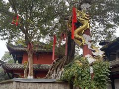 -黄龙溪古镇-古龙寺