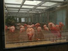 -石家庄市动物园